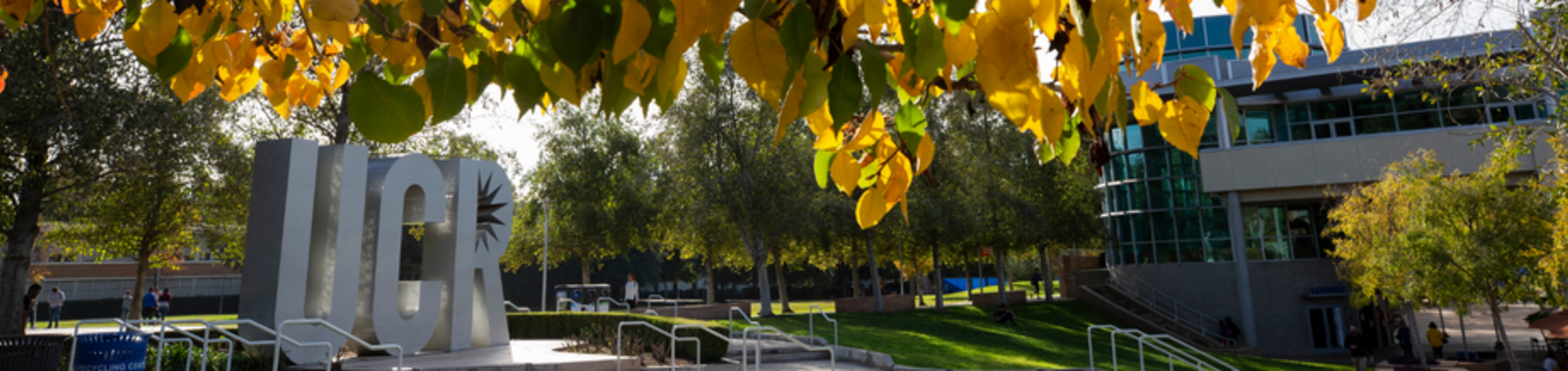UCR Letters in Fall